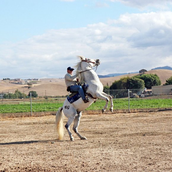 Meet Posher, Estevan - Picture 2 of 5